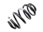 Suspension Spring Rear Original Renault Clio II Thalia 8200844169