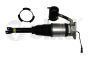 Shock Absorber Rear Left 46160000301 4E0616001N Audi A8 Vika