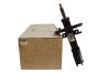 Shock Absorber Front Original Renault 543020057R