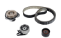 Timing Belt Kit Original 6000631712 Fiat