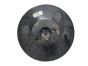 jj7491eby