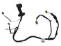 Door Wiring System Left Front Clio 3 241256326R Renault