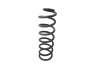 Suspension Spring Rear Dacia Sandero Stepway 550209436R