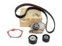 Timing Belt Kit, Set New Original Renault 1.9 dCi 119A04462R