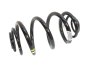 Suspension Spring New Original Rear Trafic 3 Vivaro 2 550202870R