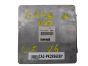 ca2-pk2956eby