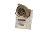 Water Pump Original Renault 210109409R