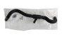 Cooling System Pipe Original Citroen Peugeot C8 807 1307ZQ