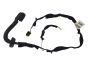 Door Wiring System Left Rear Clio 3 8200715808 Renault