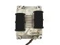 ca43-db14565eby