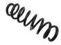 Coil Spring New Original Renault 550205813R