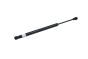Boot Lid Strut 4G5827919 B18443 Audi A6 Borsehung