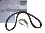 Drive Belt Original 8201712784 4PK798 Renault Dacia
