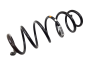 Suspension Spring Rear Original Renault Laguna III 550200058R