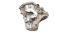 Gearbox TL4A001 TL4001 Renault Megane 2 1.5 DCi  7701700539 1019