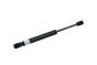 Boot Lid Strut 4B5827552D B18441 Audi A6 Borsehung