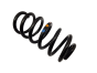 Suspension Spring Rear Clio 4 550202966R Grandtour Renault