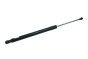 Boot Lid Strut 5G9827550 B14193 VW Golf 7 Borsehung