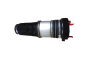 Shock Absorber For Audi A6 4F0616040Q 66160002401 Vika