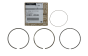 Piston Rings Original Renault Nissan 120330817R A203300Q0D
