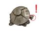 Vacuum Pump 8200520476 2.0 DCI Renault Bosch 5169