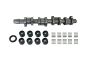 Camshaft Kit 038109101AH B11307 VW Audi Seat Skoda Borsehung