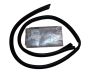 Door Window Seal Right Front Original 803270001R Renault