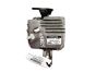 ca14-db8932eby
