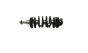 Crankshaft 9674164180 1,6 e-hdi 8v Peugeot Citroen Ford