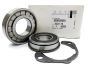Bearing Original Citroen Peugeot ML6C 237273 N40701H100 28TMO7