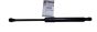 Bonnet Strut New Original 654700283R Renault