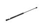 Boot Lid Strut 5JJ827550A B14203 Skoda Rapid Borsehung