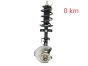 Shock Absorber Right 543023135R 400142472R 1.3 TCe Renault Clio 5 GT-Line 0km