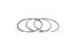 Piston Rings For Mercedes-Benz A2710300324 B10366 Borsehung