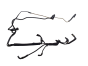 Air Hose 457832 Peugeot 407 2.0 HDI 16v
