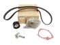 Timing Belt Kit, Set Original Renault 119A02421R