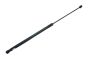 Boot Lid Strut 3B0823359C B14187 VW Audi Seat Borsehung