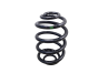 Suspension Spring Rear 8200844168 Renault Clio 2