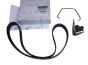 Drive Belt Original 117205678R Renault Dacia