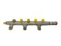 Injection Rail  8200023961 0445214025 Renault 2.2 2.5 DCI