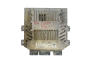 Controller 3S61-12A650-LB 5WS40140D-T SID 804 Ford Siemens 34347
