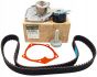 Timing Belt Kit, Set New Original Renault Kangoo 1.5 dCi 119A02421R