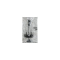 Door Limiter Right/Left Rear Original Peugeot 307 9181K0