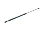 Bonnet Strut 8T0823359 B18428 Audi A4 A5 Borsehung