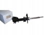 Shock Absorber Front Original Renault Clio III 8200676029