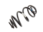Suspension Spring Original Renault Opel Nissan 550200619R