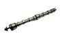 ca19-mk1100eby
