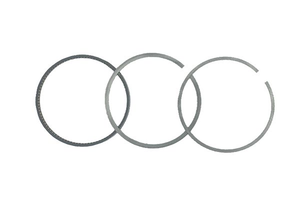 Piston Rings For Audi 06E198151G B19049 Borsehung main product photo