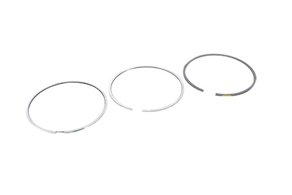 Piston Rings For VW Audi 06J198151K B10364 Borsehung main product photo