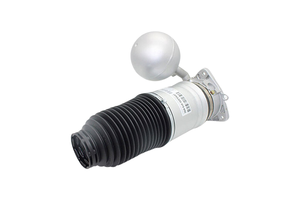 Shock Absorber Left Rear For VW Phaeton 3D0616001F 66160001901 Vika main product photo